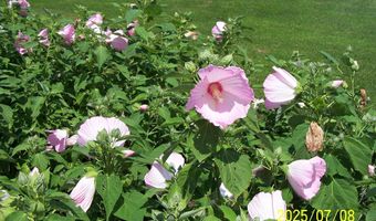 106 CREEKSIDE Dr, Dagsboro, DE 19939