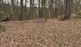 V/L Marshall Street, Allegan, MI 49010