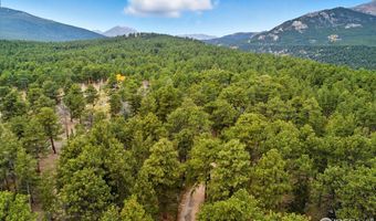 441 County Road 84 W, Allenspark, CO 80510