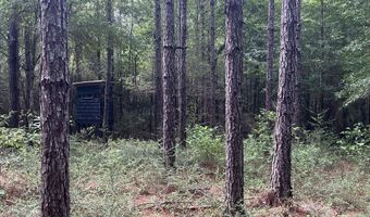 259 Forest Lake Rd, Beaumont, MS 39423