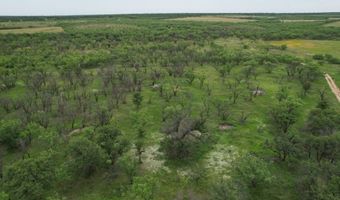 FM 600, Anson, TX 79501