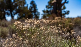 23107 Watercourse Way Lot 53, Bend, OR 97701