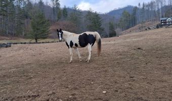 99999 Big Rock Creek Dr, Bakersville, NC 28705