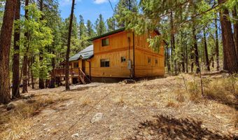 70 County Road 2266, Alpine, AZ 85920