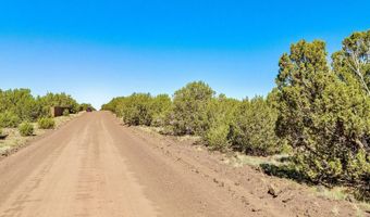 132 Co Rd 8061 1.26 Acres, Concho, AZ 85924