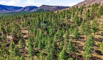 12 W Pergatory Dr, Alpine, AZ 85920