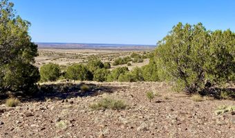Tbd Co Rd 5062 Lot 1 3.53 Acres, Concho, AZ 85924