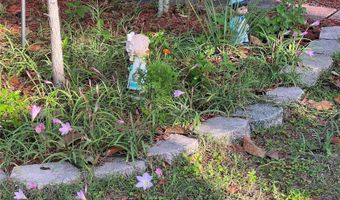 6803 NW 168TH St, Alachua, FL 32615