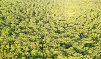 County Road P-305, Ava, MO 65608