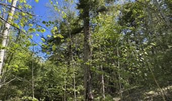 Route 9 lot 13, Aurora, ME 04428