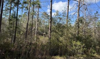 Grand Mesa Avenue, Alford, FL 32420
