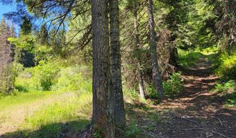 671 W Mountain Rd, Cascade, ID 83611