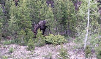 557 Highpoint Cir, Black Hawk, CO 80422