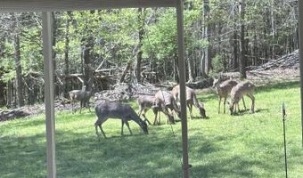 267 Back 9 Dr, Baneberry, TN 37890