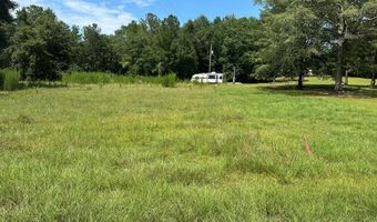 177 155 Pebble Cove Rd, Abbeville, AL 36310