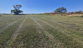 6-10 Pine St 6-10, Bottineau, ND 58318