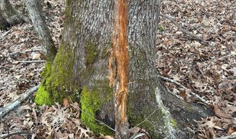 County Road 29, Alberta, AL 36720