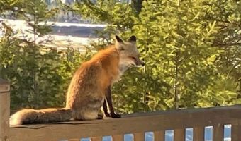 1055 Skywood Rd, Big Sky, MT 59716