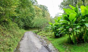 1515 Ned Clark Rd, Bean Station, TN 37708