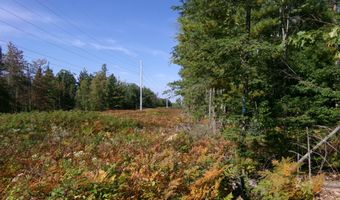 V/L 30AC Lake Winyah Road, Alpena, MI 49707