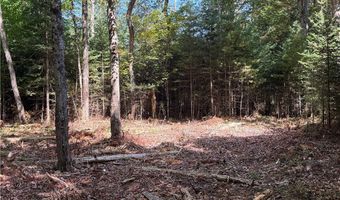 Beaver Trail lot # 1, Alder Creek, NY 13301