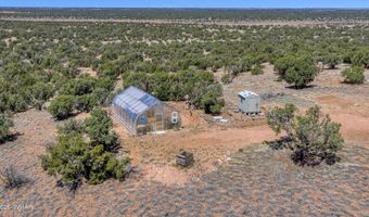 61 Blue Diamond ACR 5525, Concho, AZ 85924