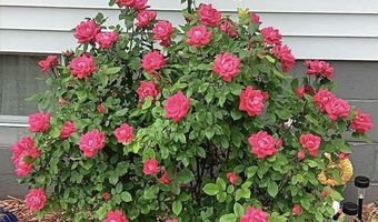 2137 S 5th Ave, Alpena, MI 49707