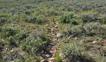 WHITE BEAR Road, Daniel, WY 83115