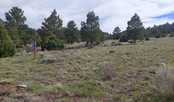 01195 Rito Hondo Rd, Antonito, CO 81120