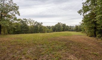 2421 Moorison Loop, Anderson, MO 64831