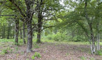 Rains County Road 2610 lot 25, Alba, TX 75410
