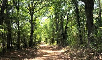 1071 LR 3, Ashdown, AR 71822