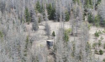 5280 Cathro Rd, Alpena, MI 49707