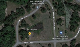 716 Live Oak Loop, Crescent City, FL 32112