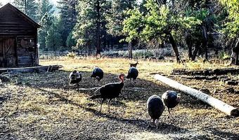 3720 Co. Rd. 118, Alturas, CA 96101