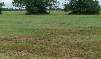BRAHMAN TRAIL, Angleton, TX 77515