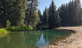 201 Golden Forest Rd, Bayfield, CO 81122