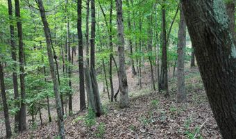 Hwy 67, Arkadelphia, AR 71923