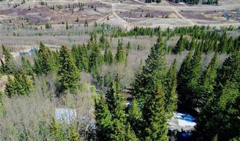 1221 Roberts Rd Lot 14, Alma, CO 80420