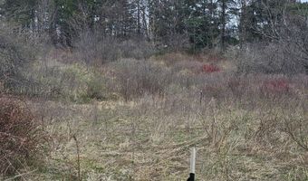 295 Shellstone Rd, Amsterdam, NY 12010