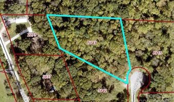 32 Maggies Ln, Asheville, NC 28803