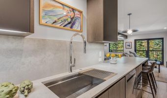 650 S Monarch St 7, Aspen, CO 81611