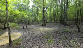 River Rd, Bascom, FL 32423