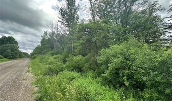 Townline Road, Angelica, NY 14709