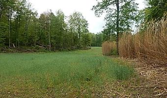 15252 27 Mile Rd, Albion, MI 49224