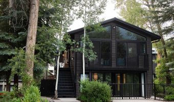 950 E Durant Avenue 4, Aspen, CO 81611