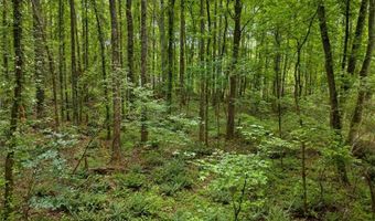 0 Worley Rd, Ball Ground, GA 30107