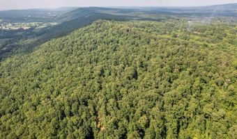 50 Acres Scenic Hwy, Attalla, AL 35954