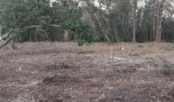 0 ALTURAS BABSON PARK CUTOFF Rd Lot 78, Bartow, FL 33830