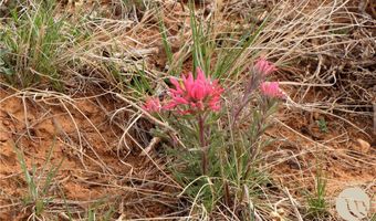 nhn Deadman Creek Road lot 7, Bridger, MT 59014
